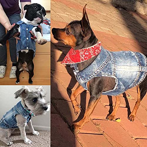 Jean Jacket, Blue Denim Lapel Vest Coat Costume, Dog & Cat T-Shirt Clothes, Cool & Funny Apparel Outfits, Machine Washable...