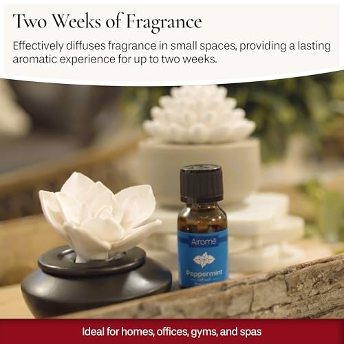 Airomé White Succulent, Porcelain Passive Essential Oil Diffuser (with 15ml Peppermint Essential Oil) – Non-Electric, Batt...