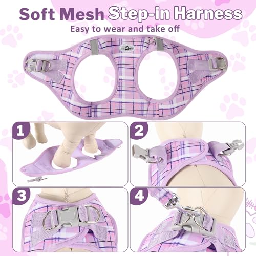 Gyuzh Dog Harness and Leash Set for Puppies - 3 Piece Step in No Pull Vest & Collar, Extra Small Kitten Harness, Breathabl...