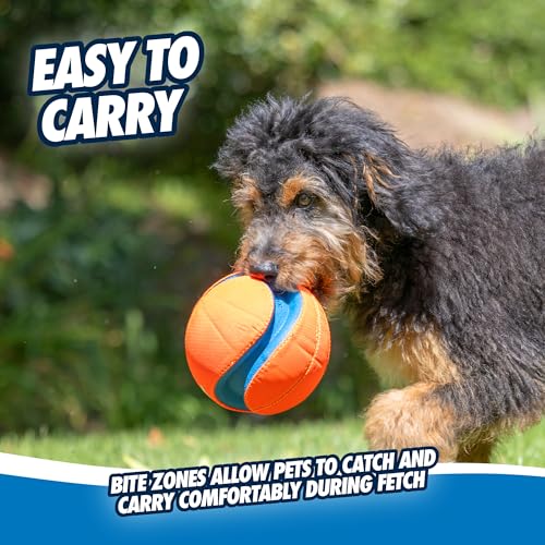 Chuckit! Kick Fetch Ball Dog Toy - Floats in Water - Perfect for Interactive Play - Made with Durable Rubber and Foam - Fo...