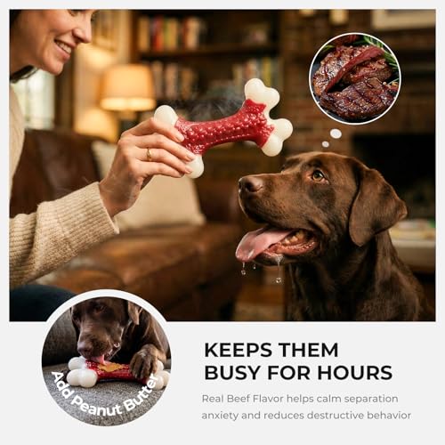 Kseroo Indestructible Dog Toys for Aggressive Chewers: Beef Flavored Hard Nylon Bone Chew Toys, Tough Dog Chew Toys for La...