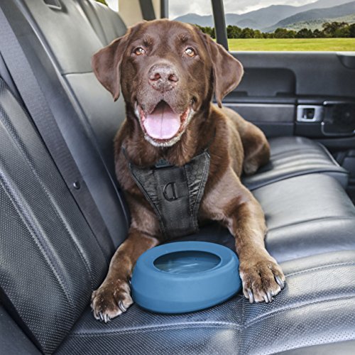 Kurgo Splash Free Wander Water Bowl, No Spill Dog Travel Bowl, Portable No Mess Bowl for Dogs, Splash Less Car Bowl for Pe...