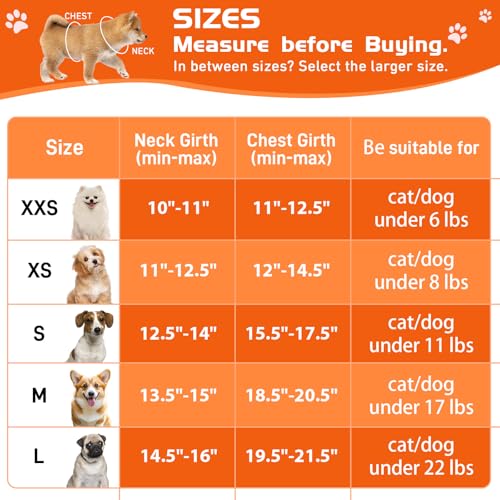 HIHANHAN Soft Mesh Dog Harness and Leash Set, No Pull Puppy Harness and Leash Set, Reflective Step in Harness for Small Me...