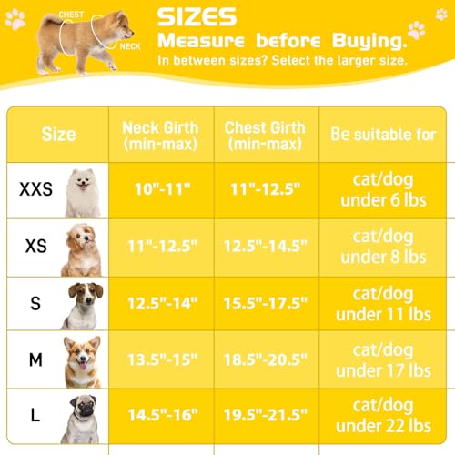 HIHANHAN Soft Mesh Dog Harness and Leash Set, No Pull Puppy Harness and Leash Set, Reflective Step in Harness for Small Me...
