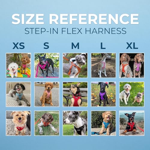 Best Pet Supplies Voyager Adjustable Step-in Flex Breathable Mesh Dog Harness for Small Medium Large Dogs Leash Set (Baby ...