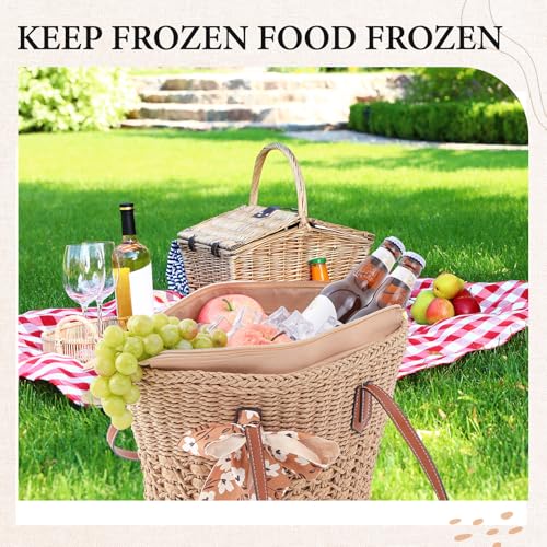 Dansydaisy Insulated Beach Woven Cooler Bag for Women, Leak Proof Summer Straw Bag with Zipper, Picnic & Pool, Stylish Str...