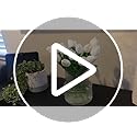 YANWE1 Ribbed Glass Vase, Flower Vase, Fluted Clear Vases for Flowers, Modern Vases for Living Room, Dining Table, Entrywa...