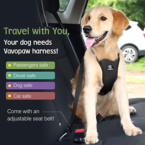 VavoPaw Dog Seat Belt, Safety Vest Dog Car Harness with Adjustable Buckle Dog Seat Belt for Vehicle Nylon Pet Safety Seat ...