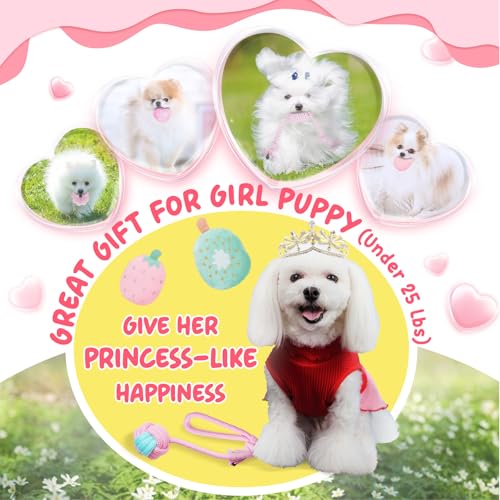 XIUGOAL Pink Puppy Toys for Boredom - 23 Pack Puppy Chew Toys for Teething, Interactive Dog Toys for Puppies, Cute Small D...