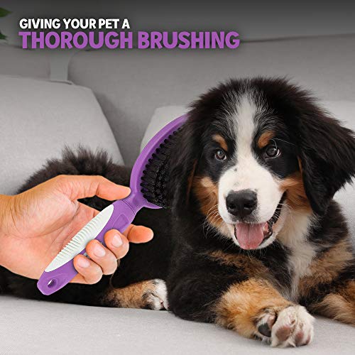 Soft Bristle Dog Brush For Short Haired Cats Or Dogs - Firm Bristles To Remove Dust, Dirt, And Loose Fur - Hook And Rubber...
