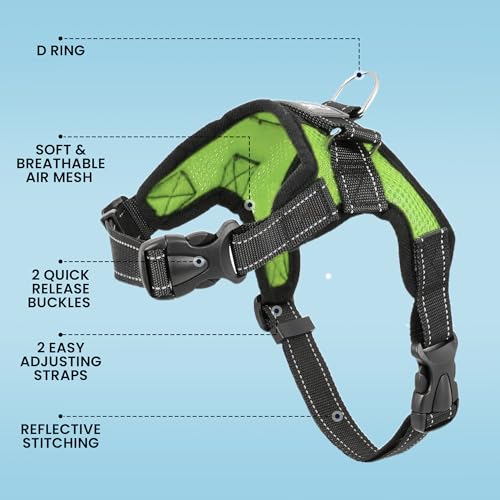 Copatchy No Pull Reflective Adjustable Dog Harness With Handle- Comfortable Soft All Weather Mesh, Easy On Puppy Harness F...