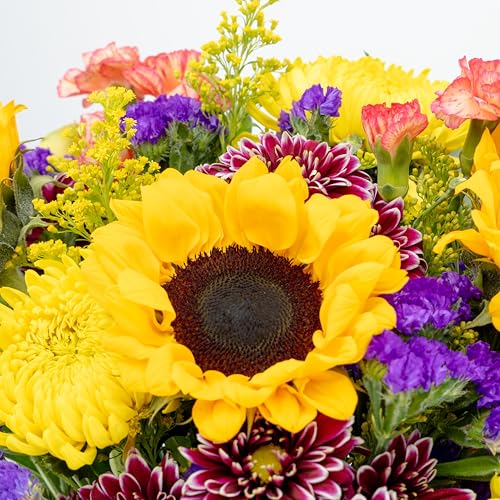 Benchmark Bouquets - Flowering Fields Sunflower Bouquet - Fresh Flowers for Delivery - Mothers Day Flowers - Get Well Gift...