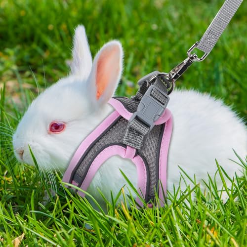 Bunny Harness and Leash Adjustable Bunny Harness and Leash Set, Breathable Pet Vest, Small Dog Harnesses, Small Kitten Pup...