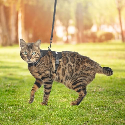PUPTECK Cat Harness and Leash Set Escape Proof, Reflective Adjustable Soft Mesh Kitten Vest Harness for Walking Travel, Bl...
