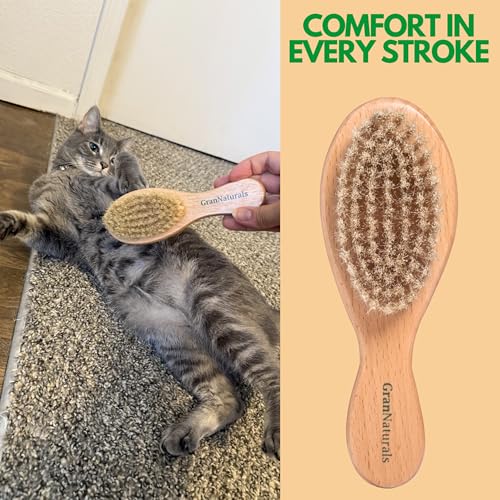 GranNaturals Boar Bristle Soft Cat Brush for Indoor, Outdoor, Short Haired Cats, Kittens, Small Dog, Rabbit, Furry Pets - ...