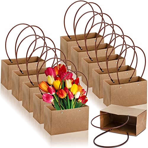 DEAYOU 10-Pack Kraft Paper Flower Gift Bags, Brown Bouquet Bag Box with Handle, Small Brown Paper Carrier Tote Bags with W...