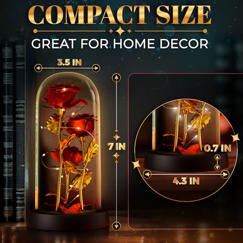Rose in Glass Dome with LED Lights in Gift Box — Mothers Day Gifts for Mom Grandma, Birthday Gifts for Women, Lighted Glas...