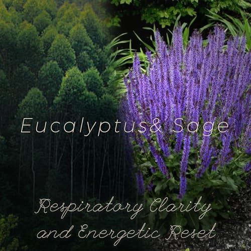 Eucalyptus & Sage Soy Scented Candles for Home- 10oz 68H Natural Soy Wax Aromatherapy Jar Candle with Strong Scent, Decora...
