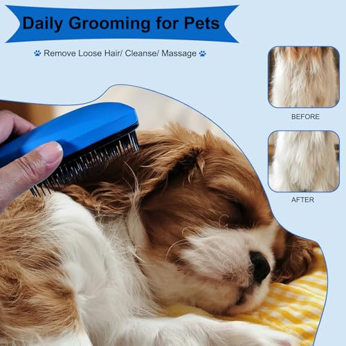 MAEELOU 3 PCS Puppy Brush Grooming Kit, Stainless Steel Flea Comb, Fit for Yorkie, Shih Tzu, Maltipoo, Soft Bristle (Blue)