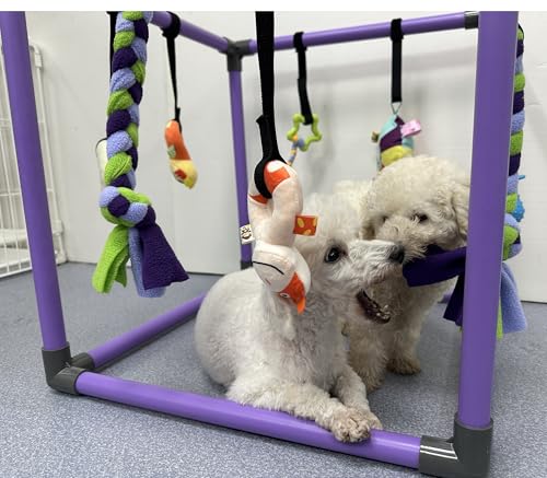 DOZZOPET Puppy Play Gym for Small Dogs with 8 Hanging Toys, Jungle Playground with Interactive Funny Enrichment Toys to Ke...