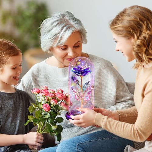Mothers Day Flowers Gifts for Mom Women Birthday Gift Galaxy Glass Rose Forever Eternal Crystal Flowers Rose in Glass Dome...