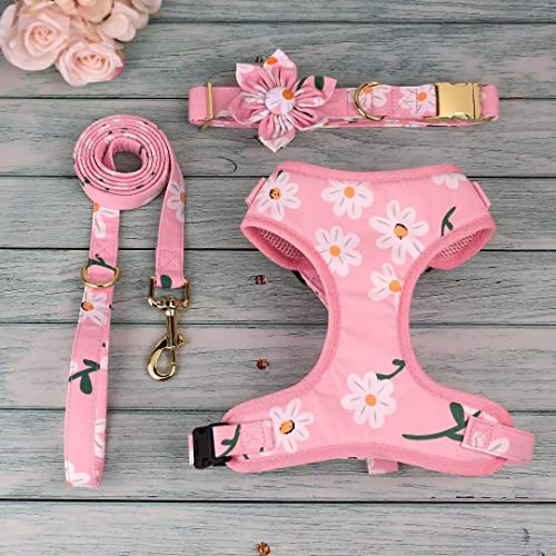 Beirui Cute Girl Dog Collars, Harnesses & Leashes Set - Adjustable Dog Collar and Leash Set with Flower - Soft Mesh Dog Ve...