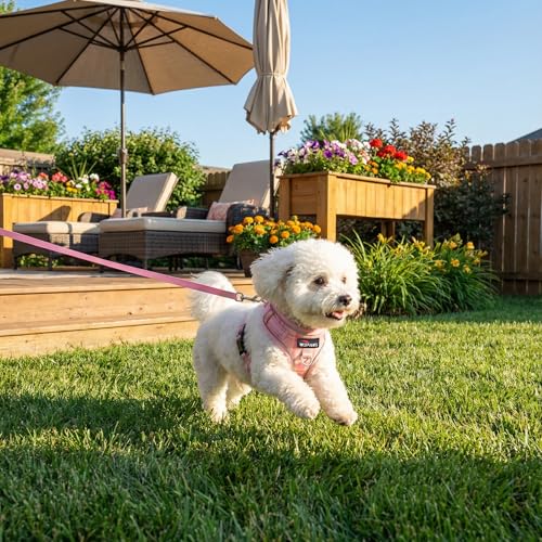 WDPAWS No Pull Dog Harness and Leash Set-Reflective Plaid Design, Adjustable & Comfortable with Front D Ring for Small Med...
