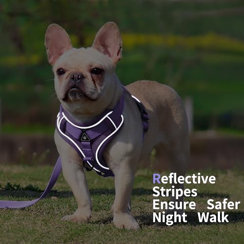 Jolifield No Pull Dog Harness with Leash Set for Small Sized Dog, Reflective Adjustable No Choke Front Clip Cat Vest Harne...