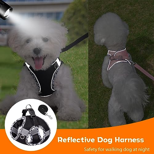 PETPUBGNZS Cute Plaid No Pull Dog Harness for Small Dogs Soft Mesh Small Dog Harness and Leash Set Easy Walk Step in Puppy...