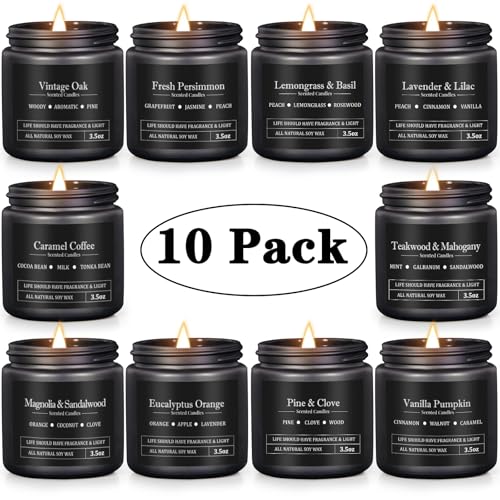 10 Pack Scented Candles for Men, Masculine Candle Gift Set with Woody & Fresh Scents, Soy Wax Aromatherapy Candles for Hom...