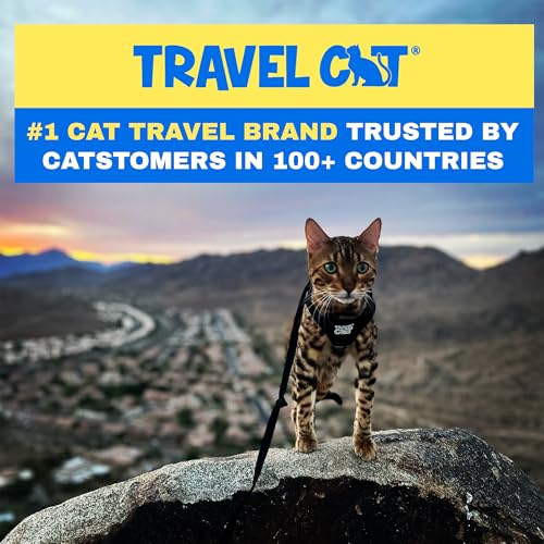 Travel Cat Harness and Leash Set - Adjustable Fit Mesh Cat Harness and Reflective Strap - Comfort Walking Vest for Kitten ...
