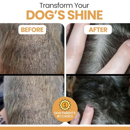 Salmon Oil for Dogs - Premium Fish Oil for Skin and Coat Health - Omega 3 Supplement - Supports Itchy Skin - 8 oz Liquid -...