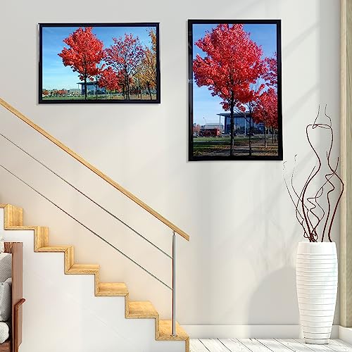 Medog 8.5x11 Picture Frame in Black,Document Certificate Frames, Display Pictures 8.5x11 Picture Frame, 1 Pack