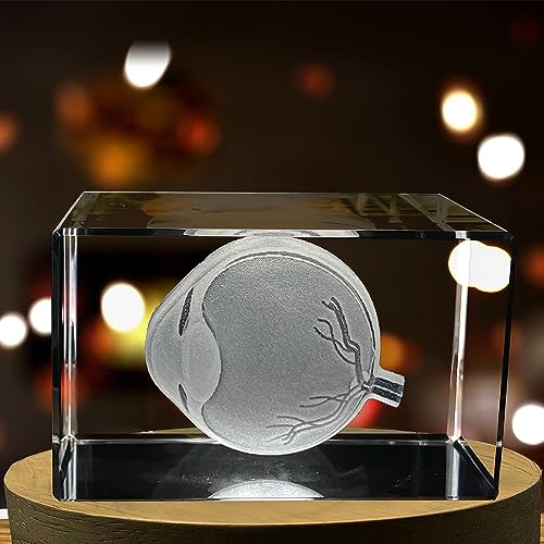Eye Art For An Ophthalmologists | 3D Engraved Crystal Keepsake | Gift For Doctor| Collectible | personalized 3D crystal ph...