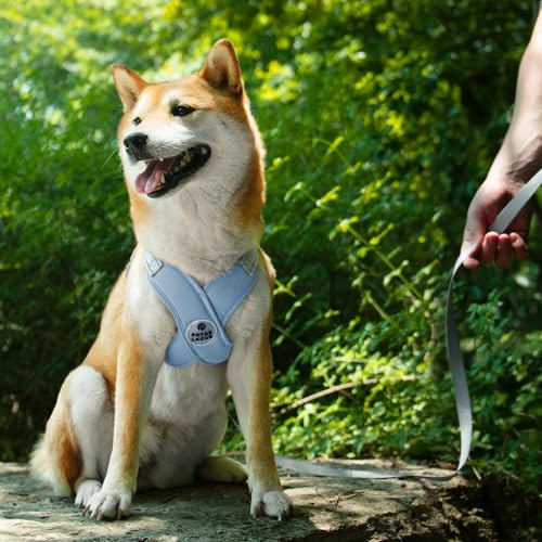 Patas Lague Dog Harness with Leash Set Adjustable Soft Padded Step-in Dog Vest No Choke No Pull Reflective for Small Mediu...