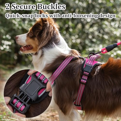 Vest Harness for Dogs - Reflective Adjustable Padding with Easy-On Design & Leash Attachment(S, Hot Pink)