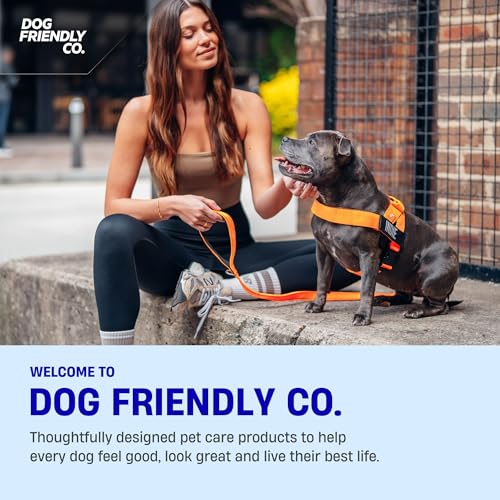 Dog Friendly Co. Dog Harness | Chafe Resistant Webbing, Adjustable Neck & Chest, and Heavy Duty D-Ring | Sturdy, Comfortab...