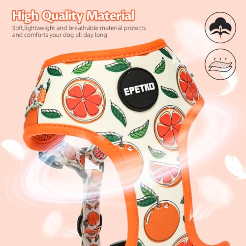 EPETKO Small Dog Harness and Leash Set of 6, No Pull Soft Lightweight Mesh Puppy Harness， Adjustable Cute Floral Pattern P...