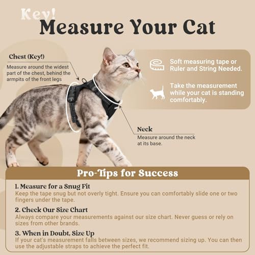 rabbitgoo Cat Harness and Leash, Escape Proof Vest with 3 Adjustable Buckles, Soft Comfortable Kitten Harness, Easy to Wea...