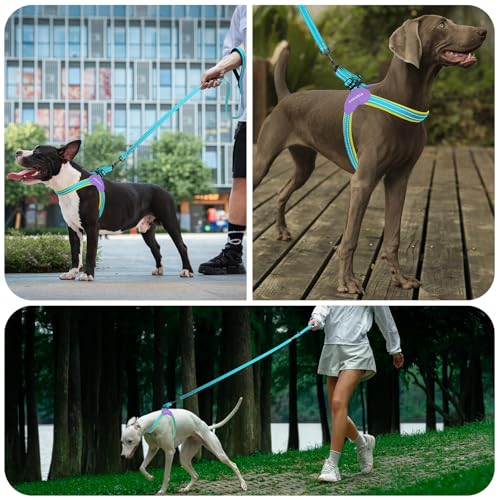 Kazazoo No Pull Small Dog Harness and Leash Set, Adjustable Puppy Soft Vest Harness with Breathable Mesh Padded, Reflectiv...