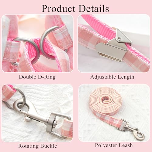 Dog Harness and Leash Set with Angle Wings,Pet Adjustable Mesh Vest Harness with Wings and Bow for Small Medium Dogs Cats_...