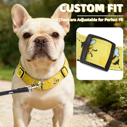 PUPTECK No Pull Dog Harness Small Sized Dog, Adjustable Reflective Pet Vest Harness with Bungee Handle, Escape Proof No Ch...