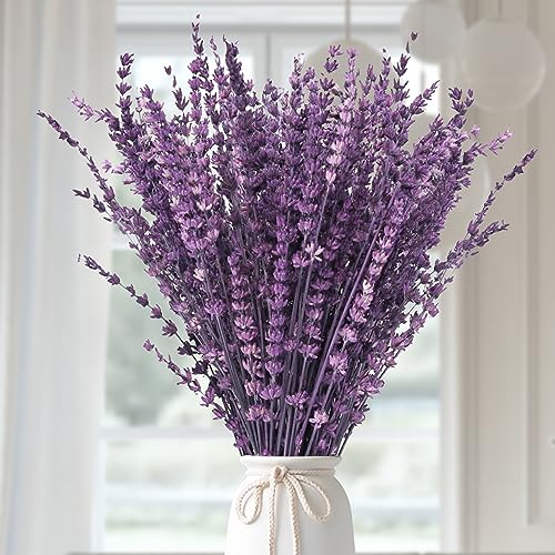 Dried Purple Lavender Flowers Bundle-Dried Preserved Lavender Bouquet 15-17" for Shower Weeding Home Vase Decor, Crafts, A...