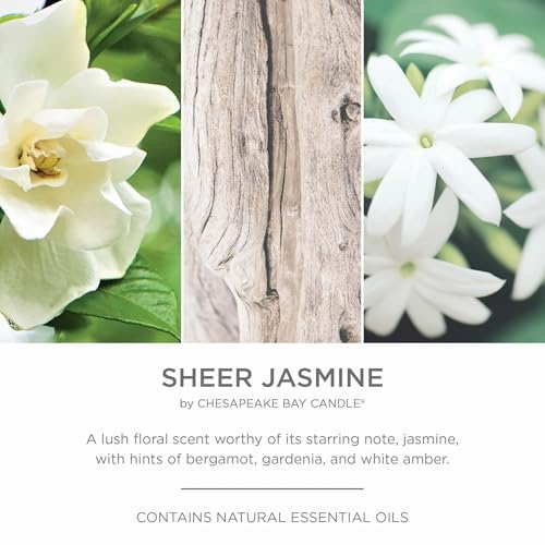 Chesapeake Bay Candle PT42073 Candle Multi-Wick Ceramic Sheer Jasmine Home Décor