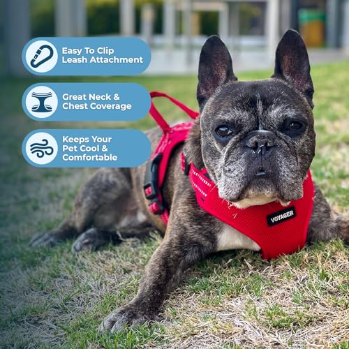 Best Pet Supplies Voyager Adjustable Step-in Flex Breathable Mesh Dog Harness for Small Medium Large Dogs (Red), M