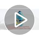 YU FENG Enamel Bird Trinket Box Jewelry Organizer, Hand Painted Decorative Hinged Keepsake Box – Blue Bird
