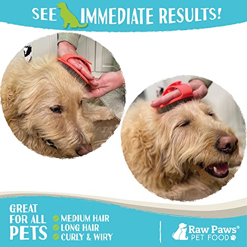 Raw Paws Grooming Brush, 1 ct - Hand-Held Rubber Tipped Pin Brush for Dogs & Cats - Deshedding Dogs with Short Hair & Long...