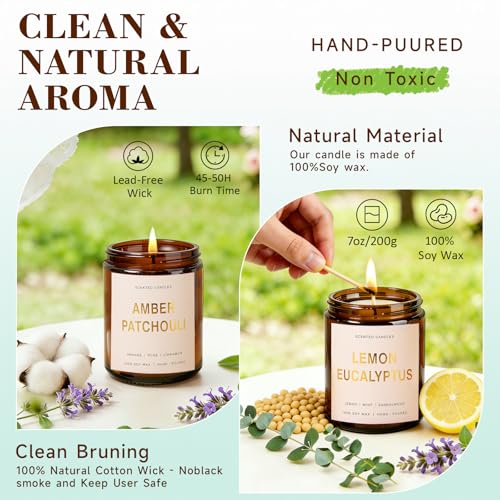 Candles for Home Scented, 4 Pack Soy Candle Non Toxic, Spring Scented Candles with Lavender Thyme, Magnolia & Sandalwood, ...