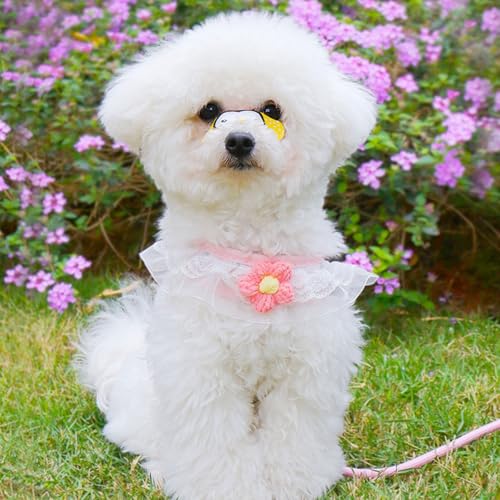 Cat Harness Collar and Leash Set, Sweet Lace Floral Kitten Collar, Escape Proof Puppy Chest Harness, Adjustable Cute Harne...
