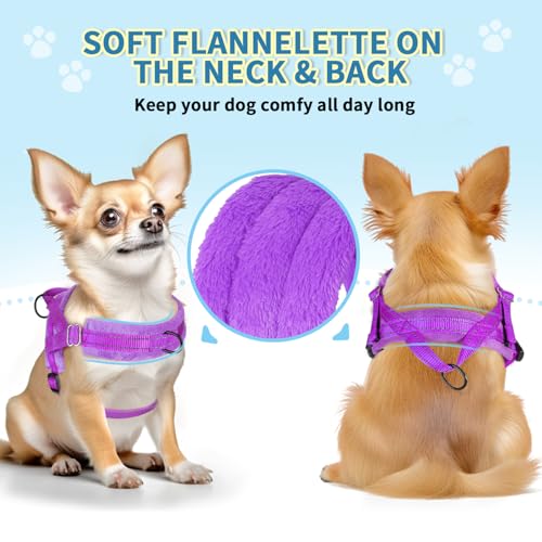 Lukovee No Pull Dog Harness and Leash Set, Soft Padded Small Dog Harness, Neck & Chest Adjustable Reflective Vest Puppy Ha...